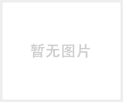 DXD全自动背封粉剂包装机
